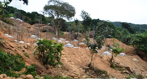 Rừng ở bán đảo Sơn Trà bị xẻ để xây dựng các dự án du lịch.