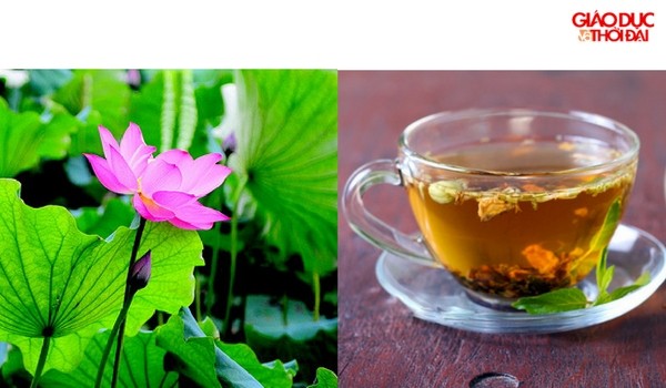 6 bài thuốc trà thảo dược dùng thích hợp cho người tăng huyết áp