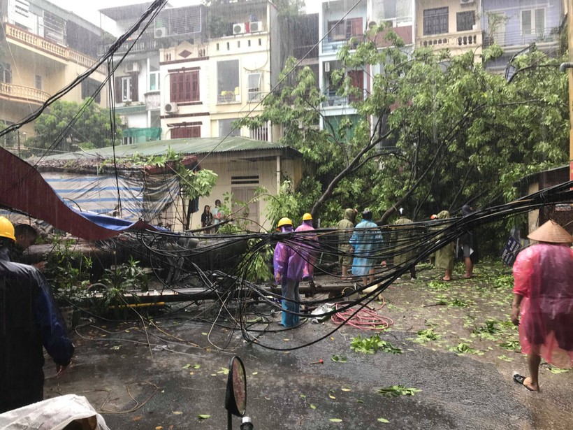 Hà Nội: Cây lớn bị quật đổ do ảnh hưởng của bão, cả dãy phố mất điện.