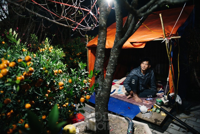 Những chiếc lều tạm chỉ vừa đủ cho 2-3 người đang là nơi để nhiều tiểu thương bán đào, quất tránh cái giá lạnh của đêm đông Hà Nội những ngày cận Tết.