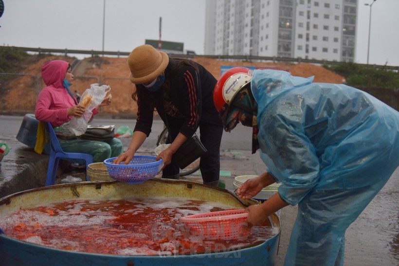 Chợ cá Yên Sở trầm lắng hơn mọi năm.