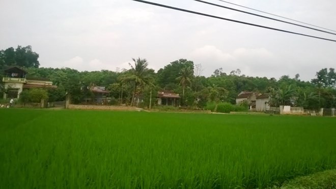 Một góc xã Phú Nhuận, huyện Như Thanh (Thanh Hoá), nơi xảy ra vụ đuối nước thương tâm