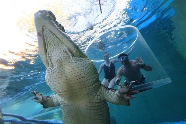 Giây phút sinh tử khi đối mặt với cá sấu khổng lồ