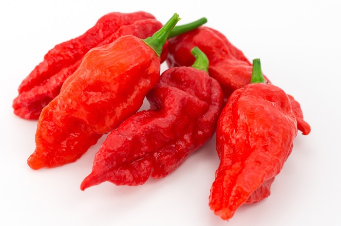 Ớt ghost pepper có độ cay đến 1 triệu SHU, một trong những loại ớt cay nhất thế giới.