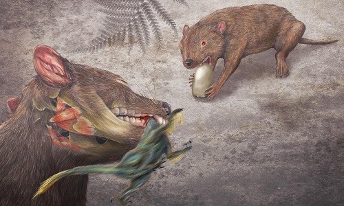 Loài vật mang bộ hàm có thể nghiền nát cả khủng long