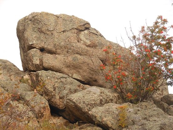 Khối đá hình rồng trên núi Mokhnataya

