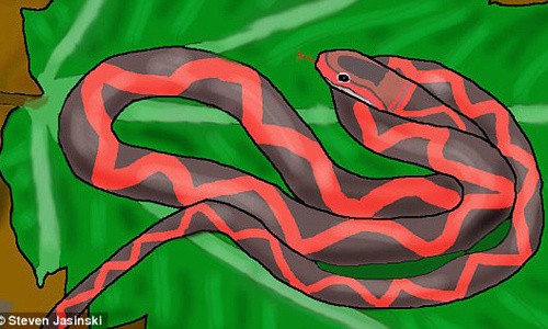 Hình ảnh phục dựng "rắn có cánh" sống cách đây 5 triệu năm. 
