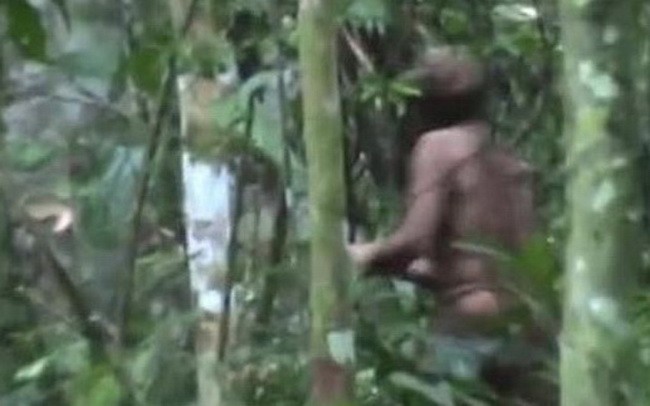 Thổ dân cuối cùng của một bộ lạc trong rừng Amazon