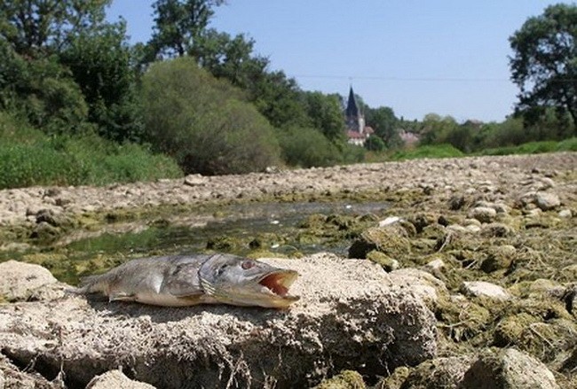 Thủ phạm hút nước khiến khúc sông hơn 1.000 mét biến mất