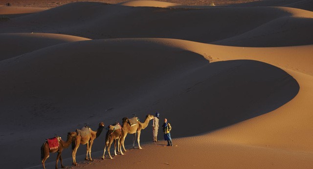 Sa mạc Sahara có thể biến thành nhà máy điện khổng lồ