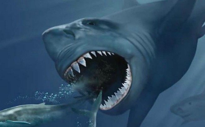 15 loài cá mập lớn nhất từng tồn tại trên trái đất