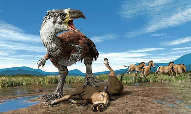 Những loài chim không biết bay lớn nhất thời tiền sử