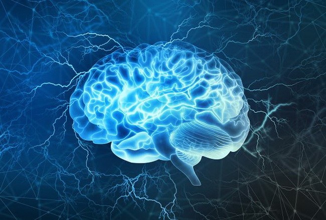 Phát minh bộ não 3D giống hệt não người đầu tiên trên thế giới 