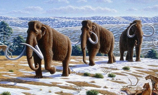 10 động vật tuyệt chủng có thể được hồi sinh