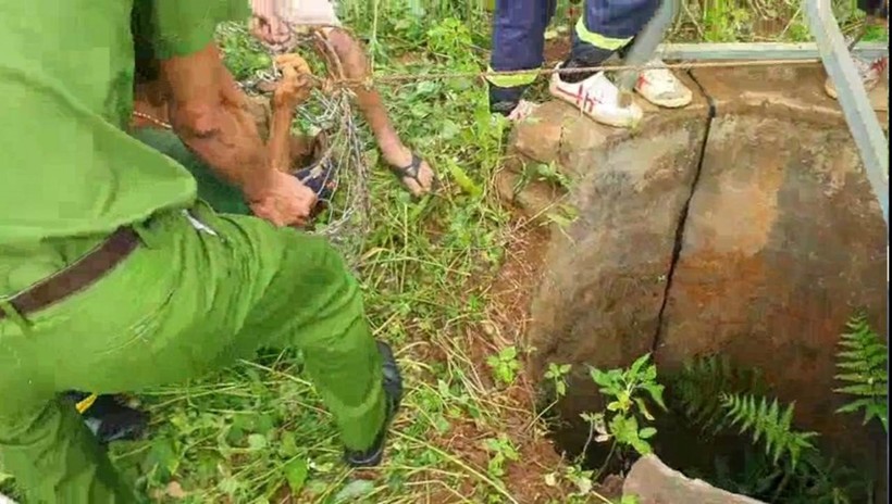 Lực lượng chức năng cứu thành công người đàn ông rơi xuống giếng sau 4 ngày (Ảnh: SĐ).