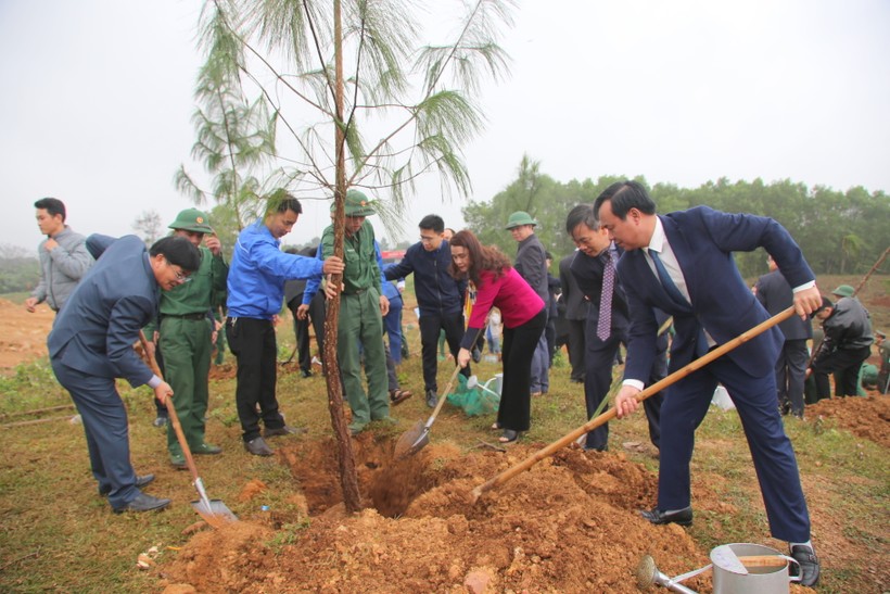 Quảng Trị tổ chức trồng cây tại Khu di tích thành Tân Sở. (Ảnh: Đ. Đức).