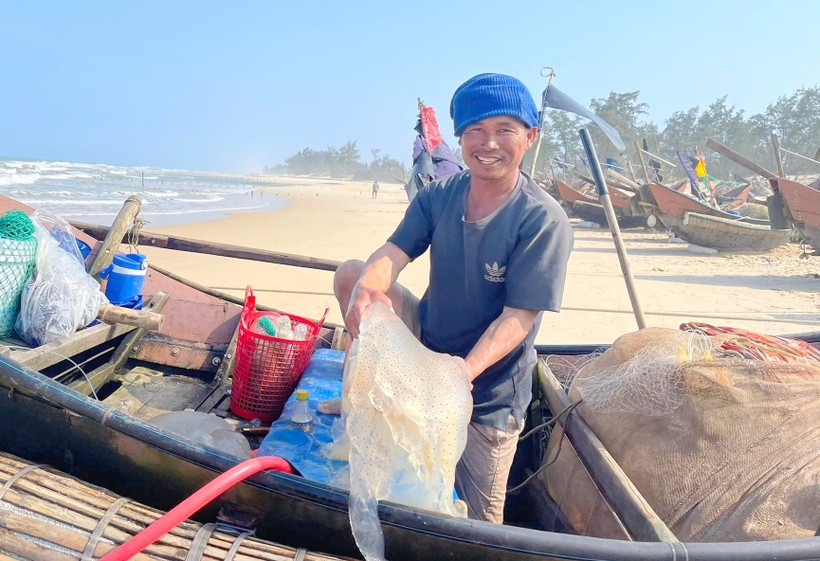 Ngư dân xã Triệu Lăng (huyện Triệu Phong, Quảng Trị) đánh bắt nhiều hải sản dịp đầu năm. (Ảnh: Đ. Đức).