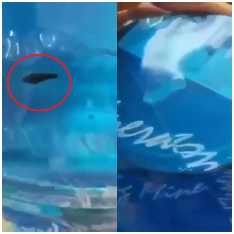 Hình ảnh từ clip ghi nhận có sinh vật như đỉa bơi lội trong bình nước chưa sử dụng.