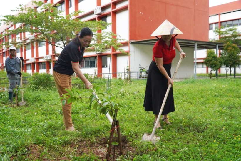 Cán bộ Giáo viên, nhân viên tích cực tham gia hoạt động trồng cây.