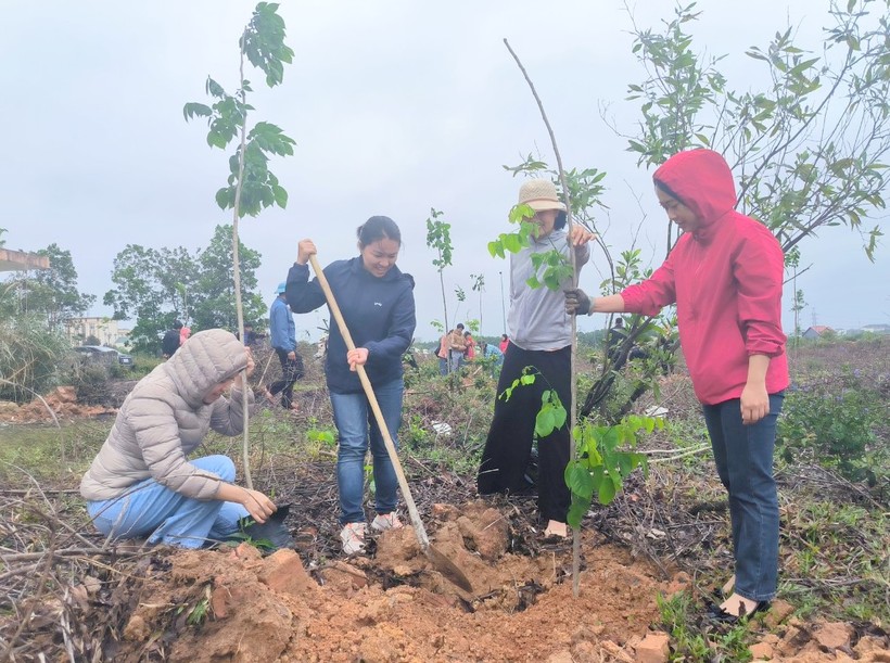 Cán bộ, giáo viên, sinh viên Phân hiệu Đại học Huế tại Quảng Trị trồng cây đầu Xuân.