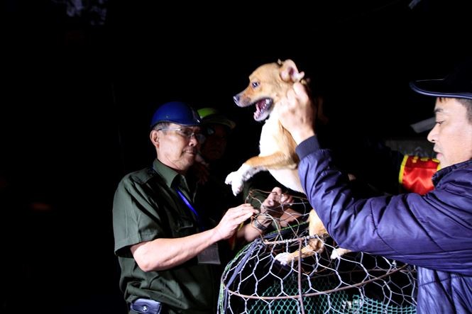 Các thành viên đội săn bắt chó thả rông phường Khương Đình (Thanh Xuân) làm nhiệm vụ.