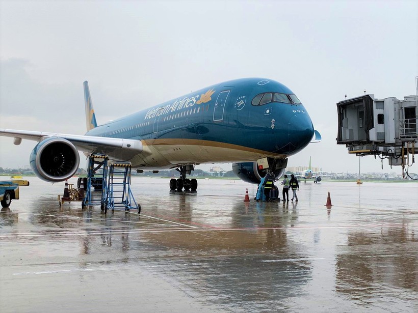 Cục Hàng không Việt Nam đã có chỉ đạo khẩn vì khỉ vàng xuất hiện tại sân bay Nội Bài. Ảnh minh họa.