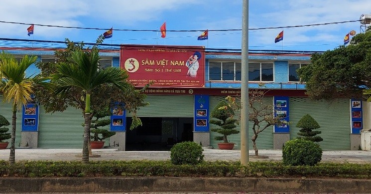 Công ty Cổ phần đầu tư Sâm Việt Nam không sở hữu 10 ha Sâm Ngọc Linh như đã công bố.