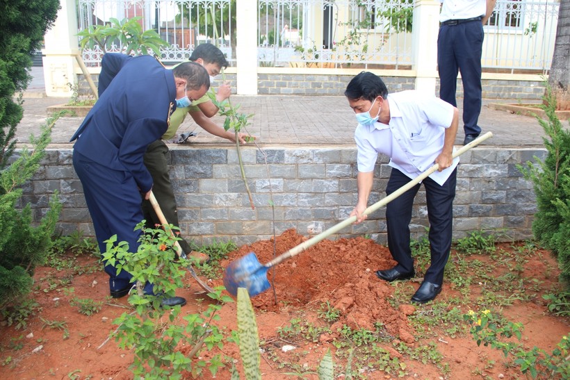 Cục Quản lý thị trường tỉnh Kon Tum đã tặng 4.000 cây xanh cho huyện Tu Mơ Rông để phủ xanh đồi núi trọc, chống xói mòn, lở đất.