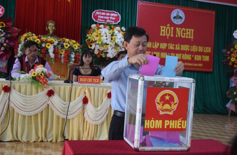 Bí thư Tỉnh uỷ Kon Tum - Dương Văn Trang bỏ phiếu bầu Hội đồng quản trị của HTX Dược liệu – Du lịch Ngọc Linh H80.