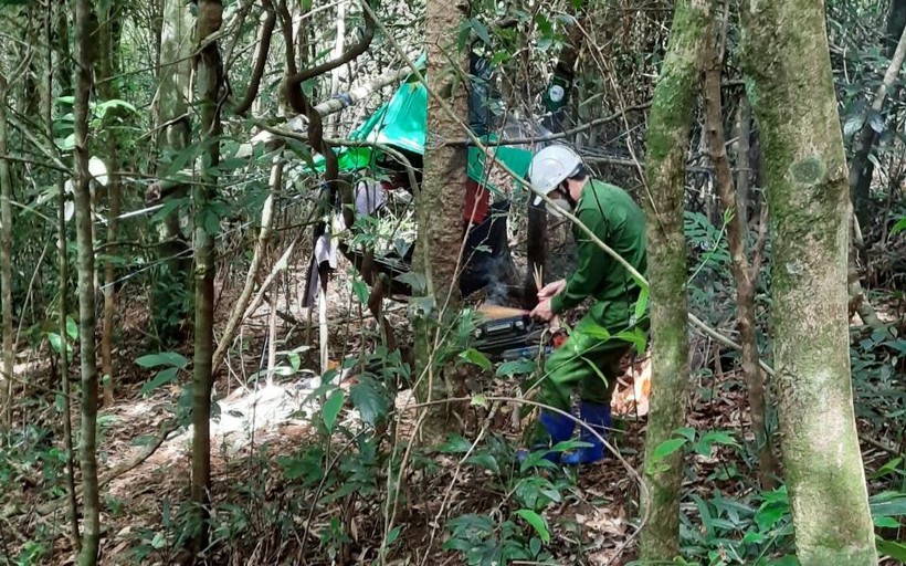 Cơ quan chức năng xác định 2 bộ xương khô trong rừng là cha con.