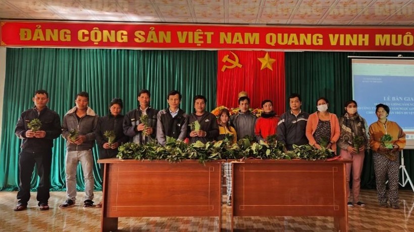 Huyện Tu Mơ Rông phối hợp với Công ty cổ phần Sâm Ngọc Linh Kon Tum trao 10.000 cây sâm Ngọc Linh cho các hộ dân nghèo.
