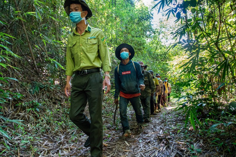 Công việc bảo vệ rừng nặng nhọc, nguy hiểm... nên nhiều cán bộ, nhân viên xin nghỉ.