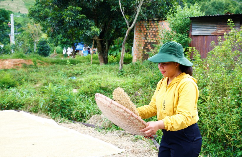 Tham gia “Tổ phụ nữ liên kết sản xuất lúa sạch” đời sống của người dân có nhiều đổi thay.
