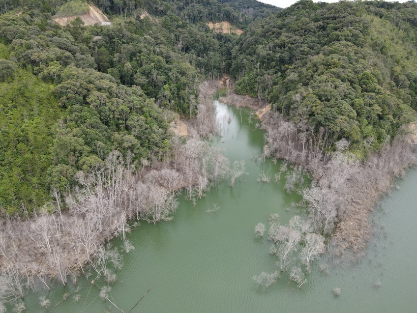 Hơn 25ha rừng bị chết liên quan đến Thủy điện Thượng Kon Tum.