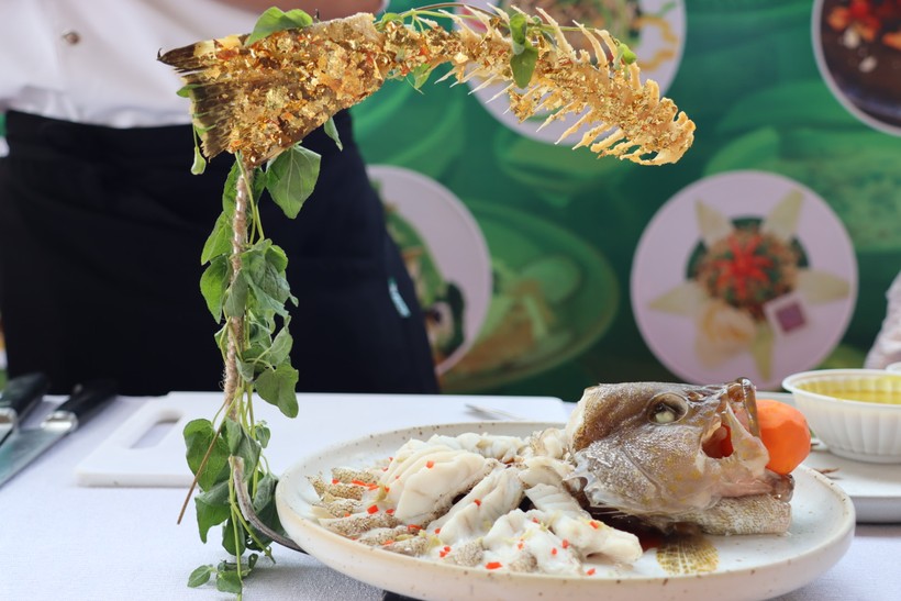 Xác lập kỷ lục Việt Nam với 120 món ăn chế biến từ sâm dây