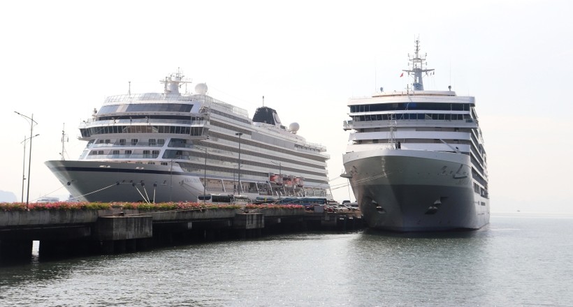 Tàu Viking Orion và Silver Muse đã đưa gần 1.200 du khách quốc tế đến Hạ Long.