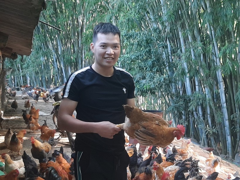 Anh Trần Đăng Hạnh khởi nghiệp thành công từ nuôi gà Tiên Yên.