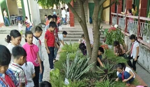 Các em học sinh trường tiểu học Kim Đính (huyện Kim Thành) tham gia các hoạt động thực tế rèn luyện kỹ năng sống.