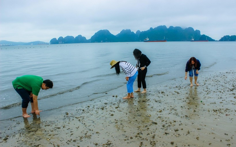 Hoạt động khảo sát biển tại Đảo Khỉ - Quảng Ninh của CLB THE BLUE – CLB Bảo vệ Môi trường Biển.
