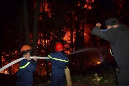 Lực lượng lính cứu hỏa trắng đêm cứu rừng trong đám cháy, (ảnh Trương Hoa).