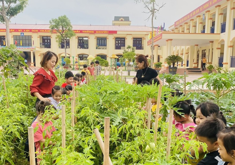 Nhiều trường học Bắc Giang chủ động trồng đảm bảo thực phẩm sạch (Ảnh minh họa).