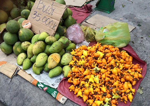 
Trái dư được bày bán chung với các loại trái cây khác ở chợ Gò Vấp, TP HCM. Ảnh:An Nguyên.