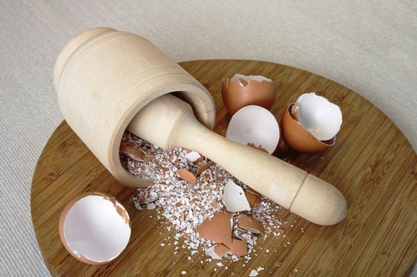 Băng gạc làm từ vỏ trứng?