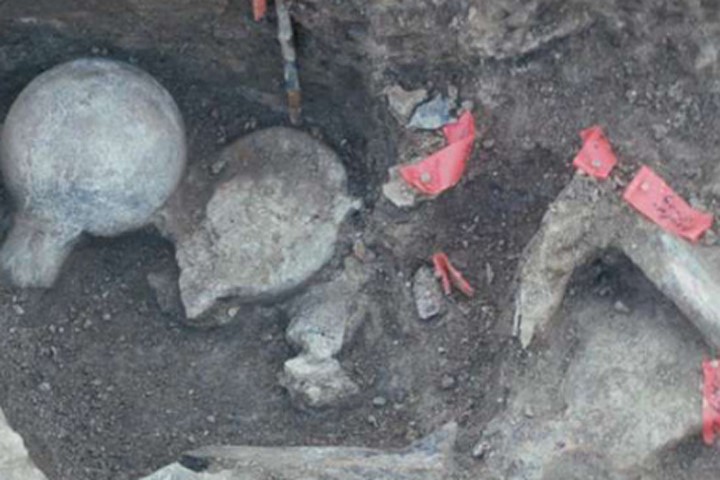Xương voi đã hóa thạch và những công cụ bằng đá được phát hiện