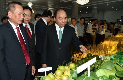 Thủ tướng Nguyễn Xuân Phúc thăm và kiểm tra một số mặt hàng nông sản của tỉnh Hậu Giang