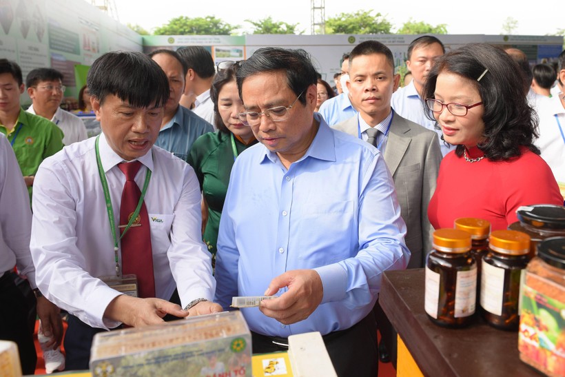 Thủ tướng Phạm Minh Chính tham quan các gian hàng giới thiệu sản phẩm trong khuôn khổ sự kiện 