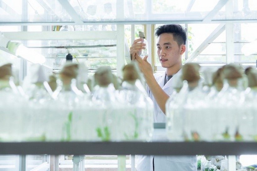 Phòng thí nghiệm nuôi cấy mô của ngành Khoa học cây trồng (Học viện Nông nghiệp Việt Nam).