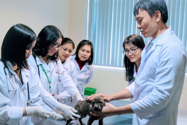 GS.TS Nguyễn Thị Lan hướng dẫn sinh viên nghiên cứu về bệnh lý thú y.