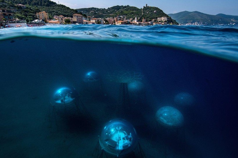 Nemo's Garden cách làng Noli ở vùng Liguria (Ý) một trăm ba mươi mét ngoài khơi. Ảnh: Giacomo d'Orlando.