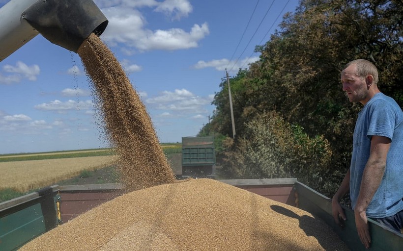 Ngũ cốc Ukraine sẽ được xuất khẩu theo đường bộ thay vì đường biển?